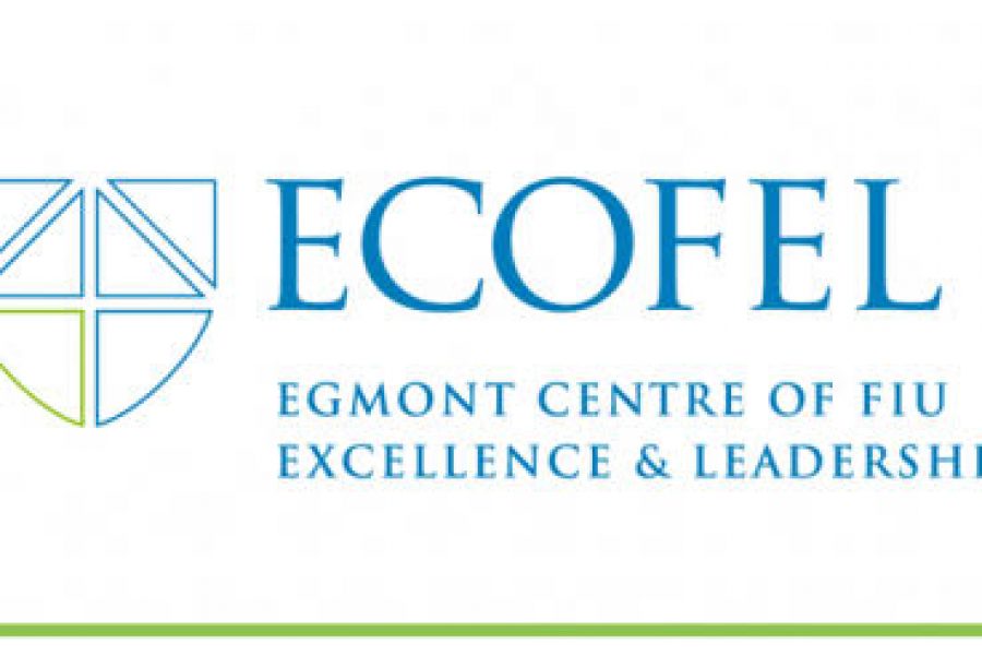 ECOFEL publishes its ‘Financial Investigations into Wildlife Crime’ report