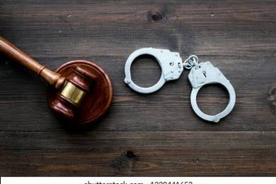 US authorities sentence Chinese citizen to 38 months in jail for laundering money to carry out turtle trafficking